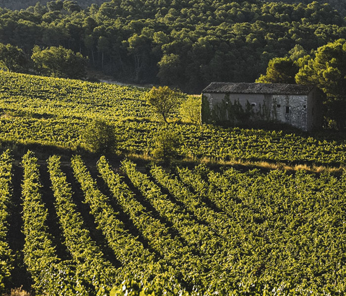 banner certificacions