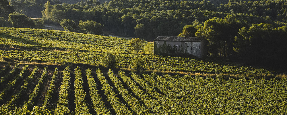 certificacions u mes u