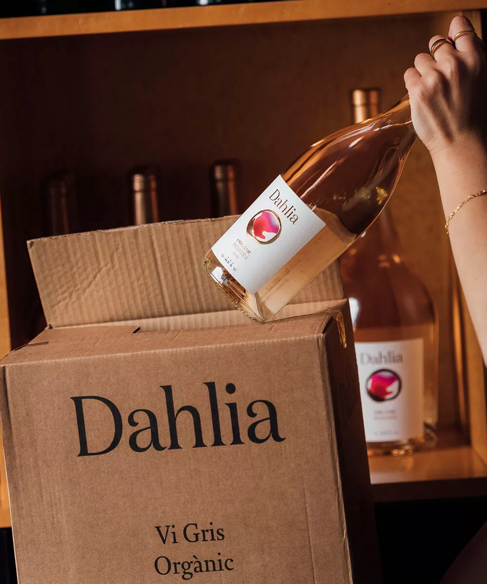 Dahlia - Imatge 2