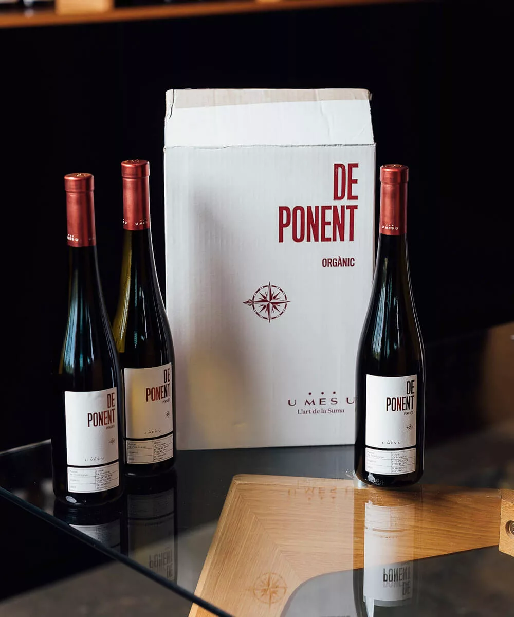 De Ponent - Imatge 2